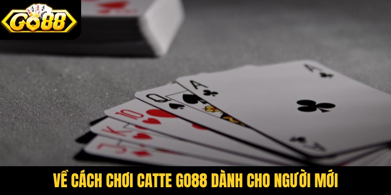 Về cách chơi catte Go88 dành cho người mới